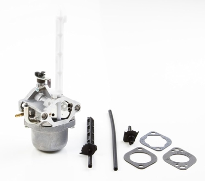Picture of Karburators Briggs&Stratton 796122