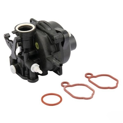 Picture of Karburators Briggs&Stratton 84001029