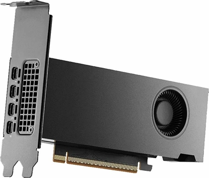 Picture of Karta graficzna Astar RTX PRO 2000 Blackwell 16GB GDDR7 (900-5G195-2250-000)