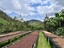 Picture of Kawa ziarnista Muhabura Kawa ziarnista RWANDA MUHABURA ROYAL ROBUSTA OMNIROAST 1kg