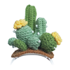 Picture of Knitted costume for Loona Premium Cactus