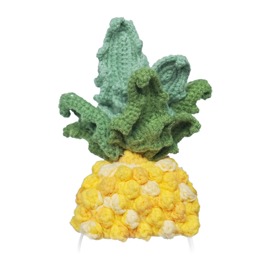 Picture of Knitted costume for Loona Premium Pineapple