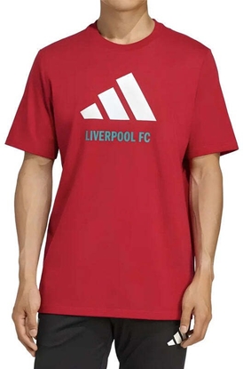 Attēls no Koszulka adidas Liverpool FC Seasonal DNA Graphic Tee 2 JY3466