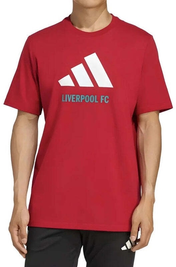 Picture of Koszulka adidas Liverpool FC Seasonal DNA Graphic Tee 2 JY3466