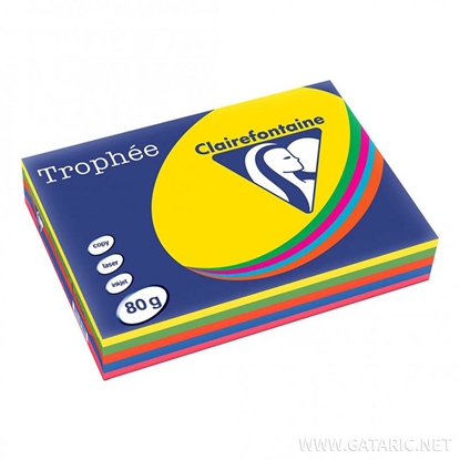 Picture of Krāsains papīrs A4, 80g/m2, 500 loksnes, 5 dažādas spilgtas krāsas, Trophee