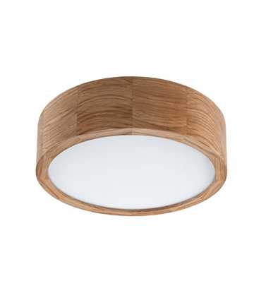Picture of Lamkur Evaline 49434 plafon lampa sufitowa IP54 1x60W E27 db