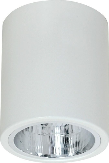 Picture of Lampa sufitowa Luminex Plafon natynkowy Downlight 12,5 cm biay