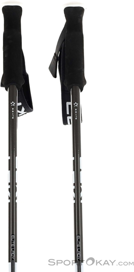 Picture of Leki LEKI KIJE ELITE LADY 110