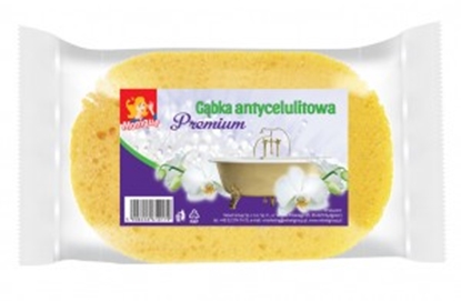 Picture of Monique Ķermeņa švamme ANTI-CELLULITE ( Izcelsmes valsts Polija )