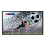 Picture of Monitor 55DM66D 55 cali 4K UHD IPS Digital Signage Display 24/7 