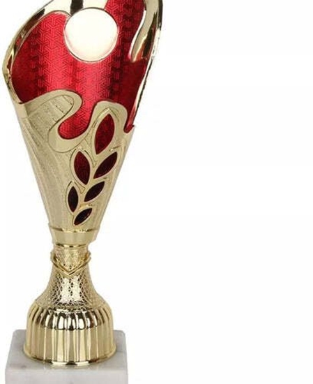 Picture of Puchar Tryumf 9317