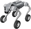 Picture of Robot czworonony UNITREE Go2-W U1