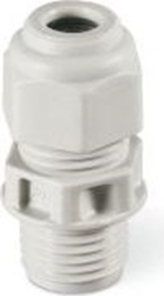 Attēls no Scame PG- 7 dawik z nakrtk IP66 (805.3340)
