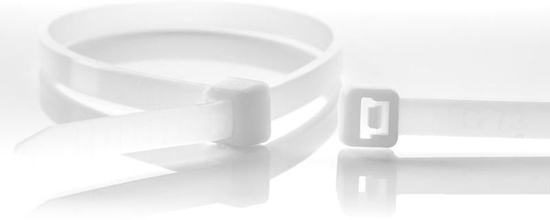 Picture of Schneider Electric WKK Zczki kablowe z tworzywa sztucznego naturalny 100x2,5mm 100 St.