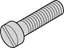 Picture of Schroff Cheesehead Screw, Slotted