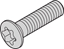 Attēls no Schroff Countersunk Screw, Raised, Torx M2.5 x 8 mm, Nickel Plated, 100 pieces