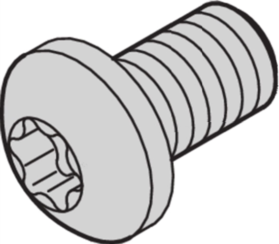 Изображение Schroff Panhead Screw, Torx, M2.5 x 6, 100 Pieces