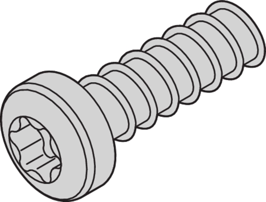 Изображение Schroff Panhead Screw, Torx, M2.5 x 7.3 mm, Self-Tapping, Steel Zinc Plated