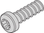 Picture of Schroff Panhead Screw, Torx, M2.5 x 7.3 mm, Self-Tapping, Steel Zinc Plated