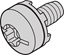 Picture of Schroff Taptite Screw M6 x 10