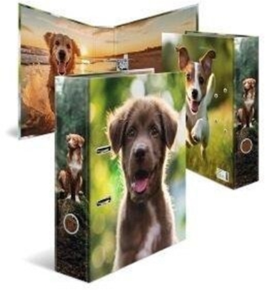 Attēls no Segregator Herma Segregator Pies 7cm