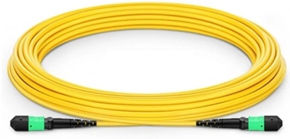 Изображение SingleMode passive fiber cbl MPO12 MPO12