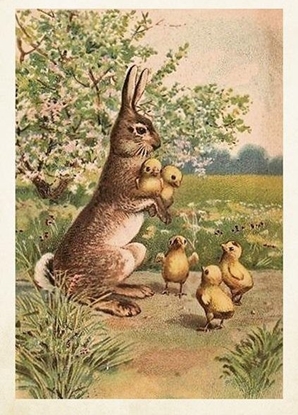 Attēls no Skona Ting Karnet ST450 B6 + koperta Wielkanocny królik EDUKAMP