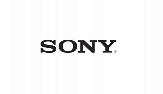 Picture of Sony Remote Commander (RM-PJ8)
