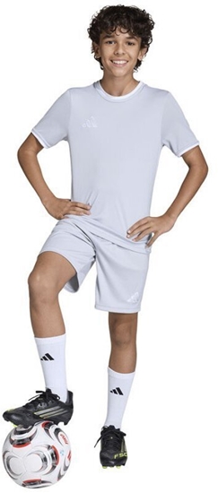 Picture of Spodenki adidas ENTRADA 26 Short Junior JZ6533