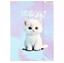 Picture of Starpak TECZKA Z GUMKA PAP A4 CUTE KITTY MIX2 STK 10/100