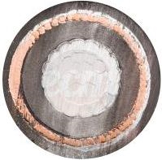 Изображение Tele-Fonika Kabel energetyczny XRUHAKXS 1x120/50mm2 12/20kV (XRUHAKXS120/50)