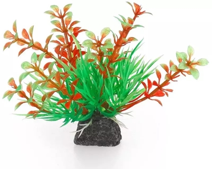 Picture of Terra Natura Aqua Natura, rolina, do dekoracji akwarium, zielono-pomaraczowa, plastikowa, 10 cm, wzrastajce pdy i spirulina
