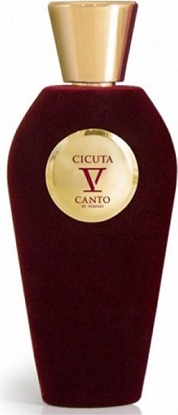 Attēls no Tiziana Terenzi V Canto Cicuta EDP 100ml