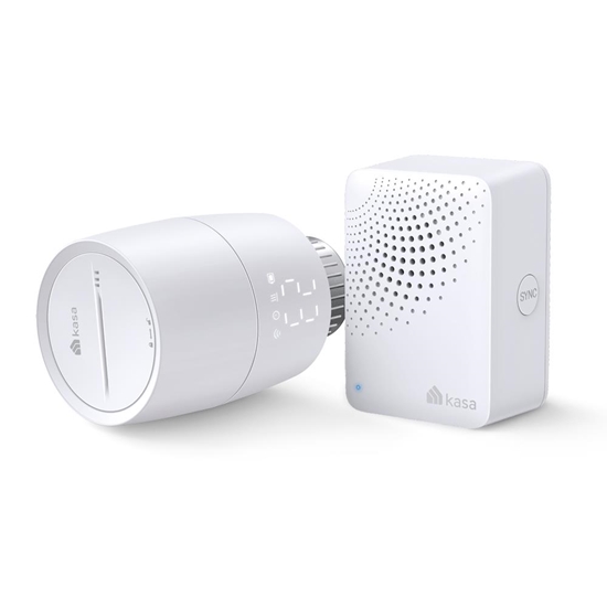 Picture of TP-Link Kasa KE100 KIT Suitable for indoor use