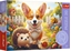 Изображение Trefl Puzzle 30 Dzie z Corgim TREFL