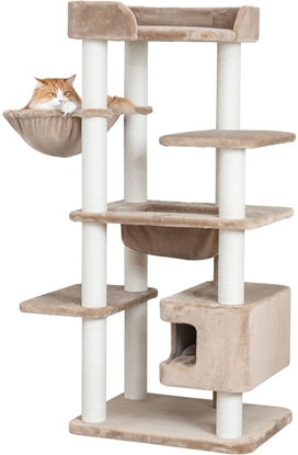 Изображение Trixie Brunna XXL, drapak, dla kota, taupe, 165cm