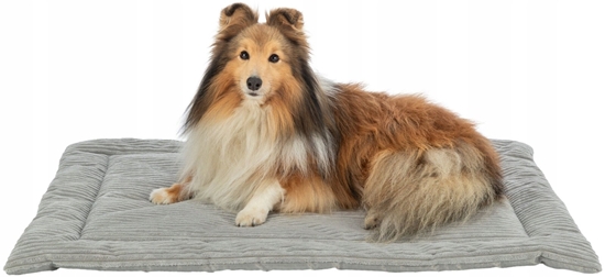 Picture of Trixie Jonna, mata, dla psa/kota, plusz sztruksowy, szara, 90 × 65 cm