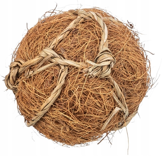 Picture of Trixie Pika z kokosa, zabawka, dla gryzoni, 6 cm