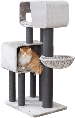 Изображение Trixie Rafael XXL, drapak, dla kota, szary, 156 cm