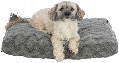 Attēls no Trixie Vital Loki, poduszka, dla psa/kota, szara, 100 × 70 cm