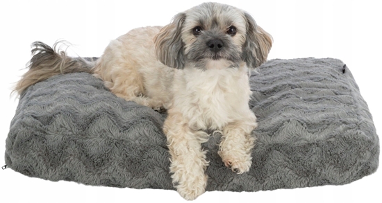 Picture of Trixie Vital Loki, poduszka, dla psa/kota, szara, 100 × 70 cm