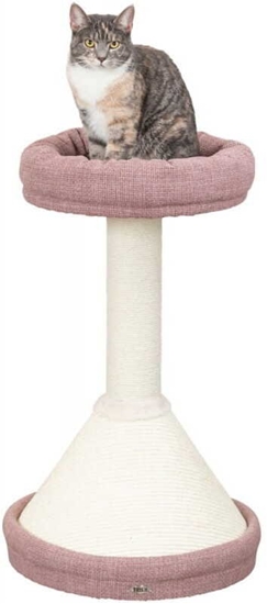 Picture of Trixie Viviana, drapak stojcy, dla kota, róowy, 80 cm