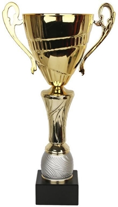 Attēls no Tryumf Puchar Tryumf W2218