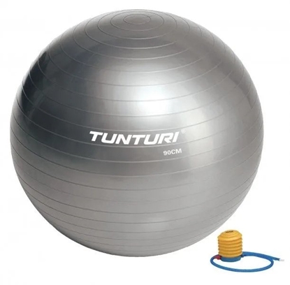 Attēls no Tunturi Gymball 90cm srebrny
