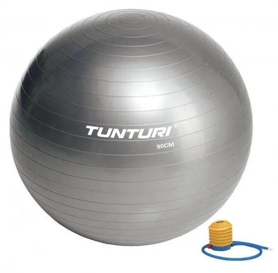 Picture of Tunturi Gymball 90cm srebrny