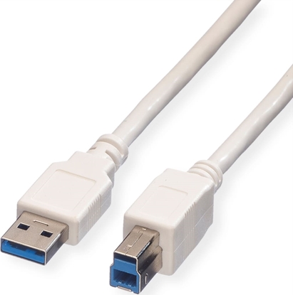 Attēls no USB 3.2 Gen 1 kabelis, A-B, M/M, balts, 0.8m, Value