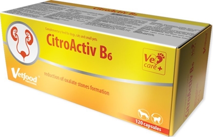 Attēls no Vetfood CitroActiv B6 120 kapsuek