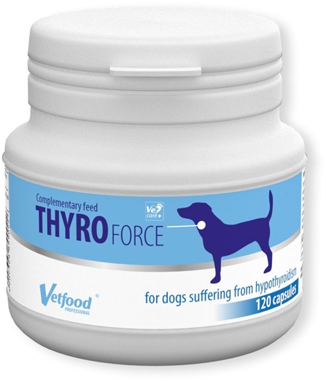 Изображение Vetfood ThyroForce 120 caps - X/VF/165