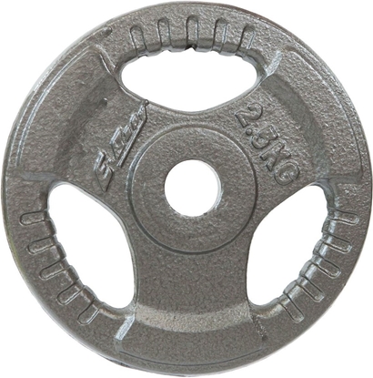 Attēls no Victoria Sport Obcienie Hammertone Fi28 szare 2.5 kg