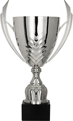 Attēls no Victoria Sport Puchar metalowy srebrny